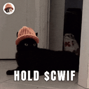 CatWifHat $CWIF - Solana Memecoin CatWifHat $CWIF - Solana Memecoin