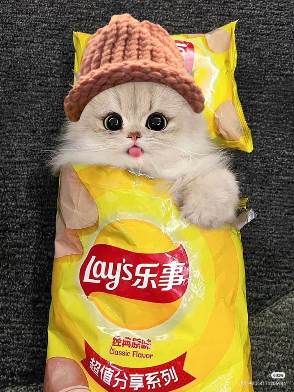 CatWifHat $CWIF - Solana Memecoin CatWifHat $CWIF - Solana Memecoin