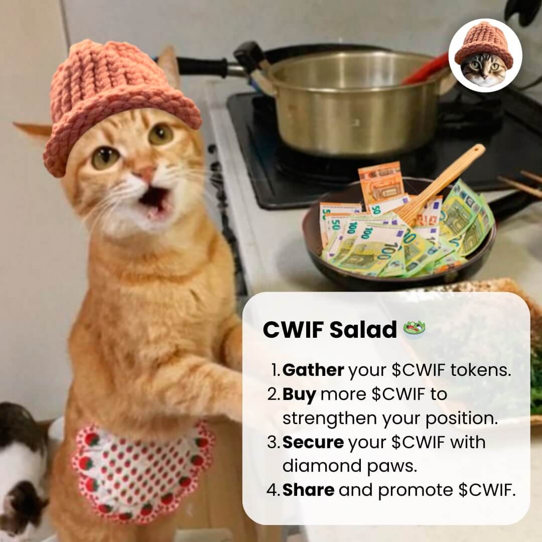 CatWifHat $CWIF - Solana Memecoin CatWifHat $CWIF - Solana Memecoin