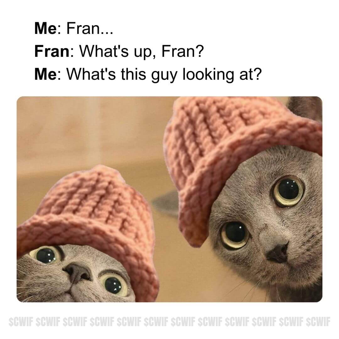 CatWifHat $CWIF - Solana Memecoin CatWifHat $CWIF - Solana Memecoin