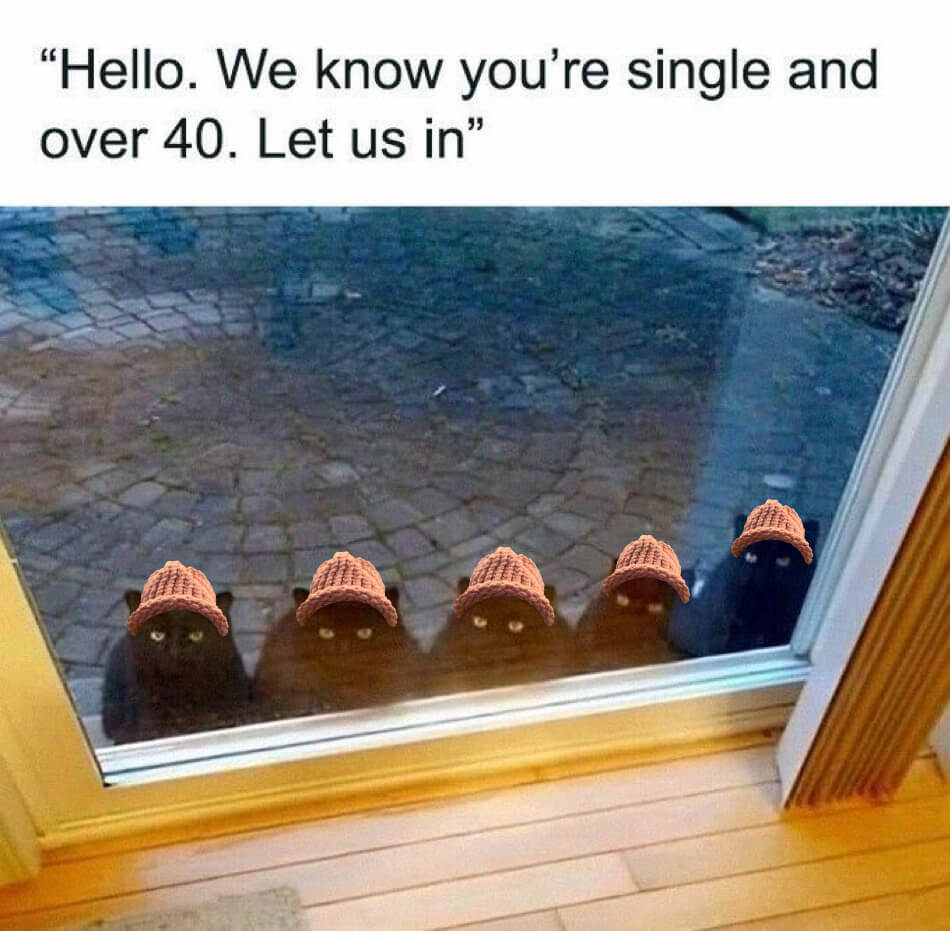 CatWifHat $CWIF - Solana Memecoin CatWifHat $CWIF - Solana Memecoin