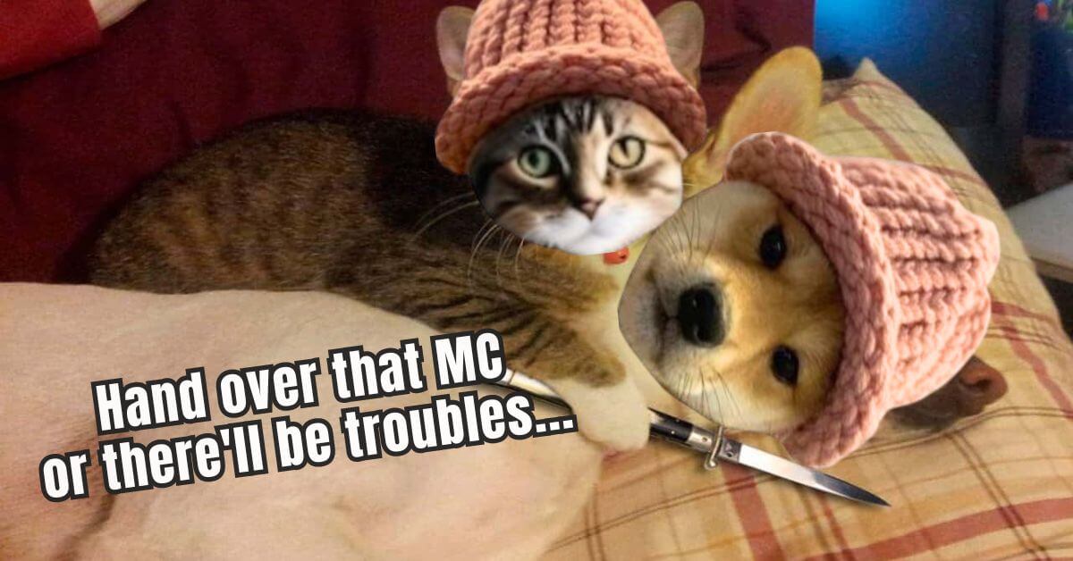 CatWifHat $CWIF - Solana Memecoin CatWifHat $CWIF - Solana Memecoin