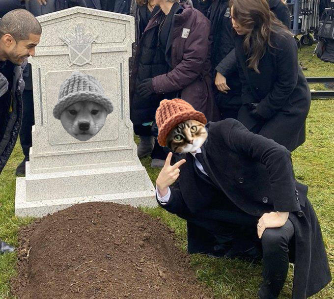 CatWifHat $CWIF - Solana Memecoin CatWifHat $CWIF - Solana Memecoin