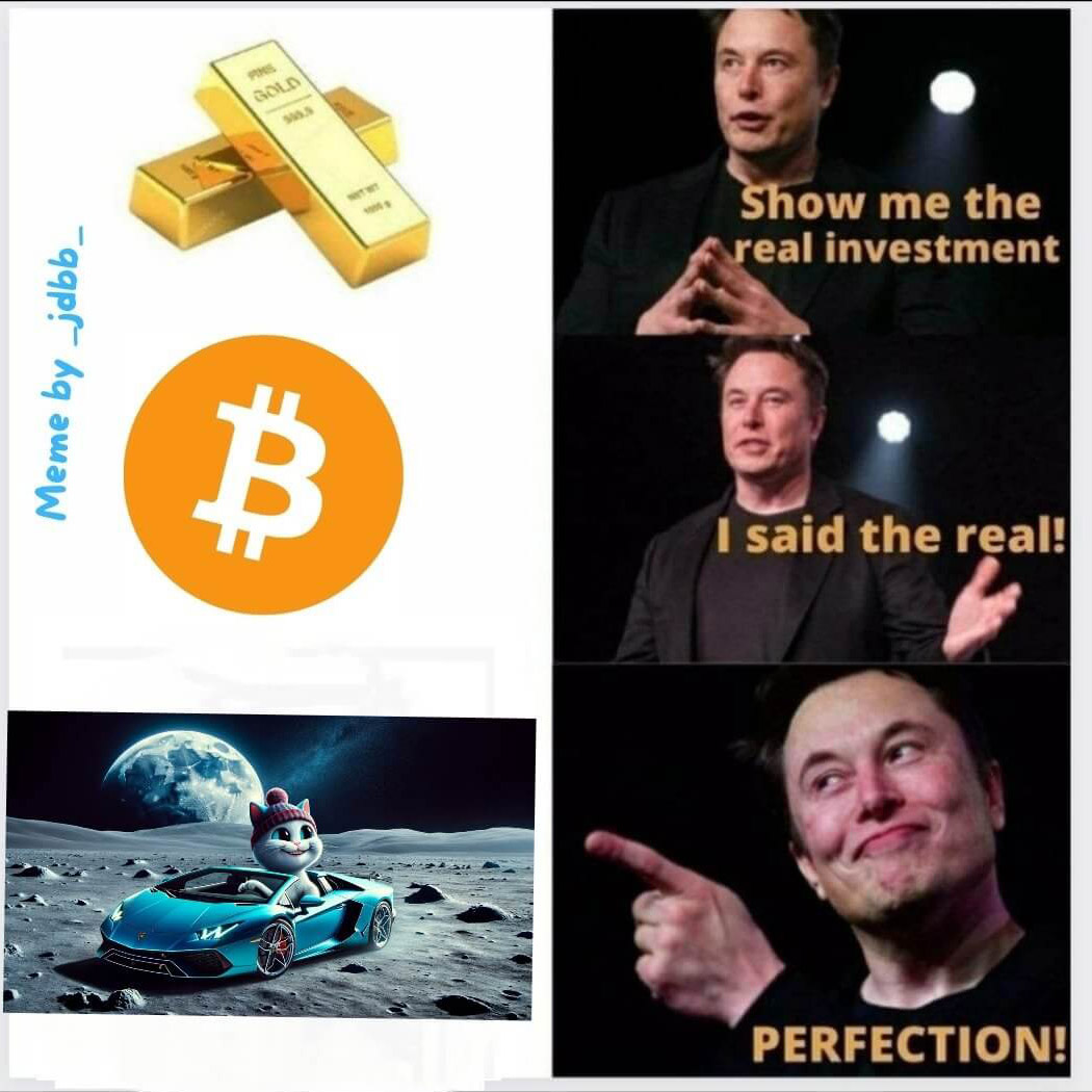 CatWifHat $CWIF - Solana Memecoin CatWifHat $CWIF - Solana Memecoin