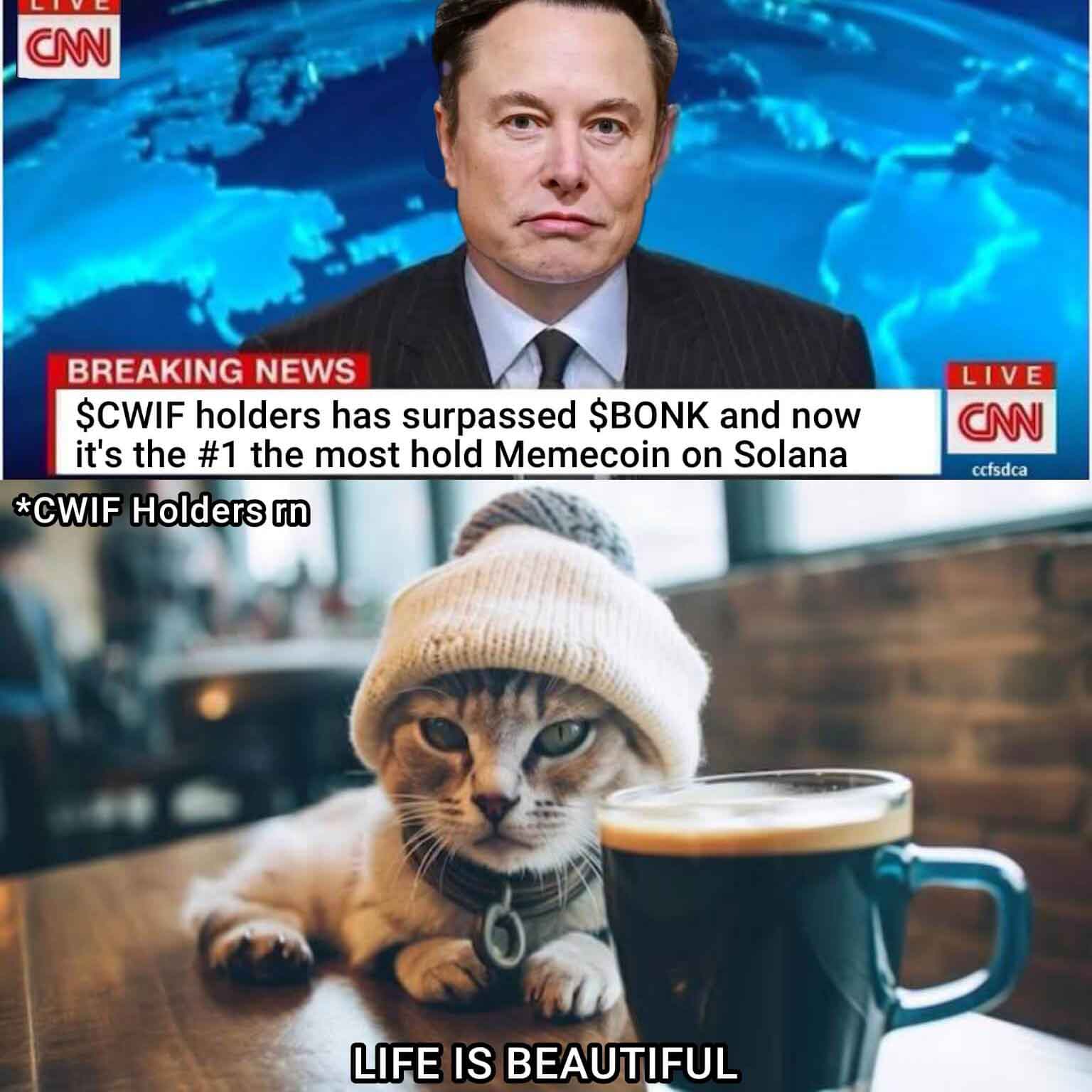 CatWifHat $CWIF - Solana Memecoin CatWifHat $CWIF - Solana Memecoin