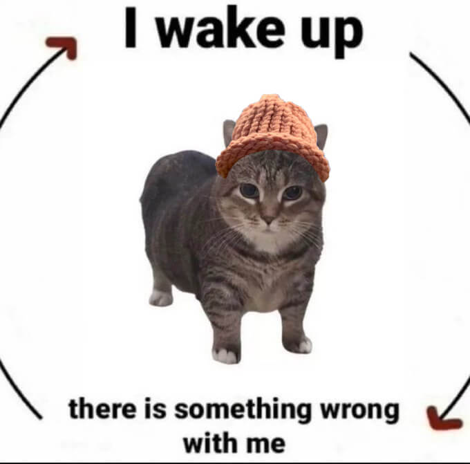 CatWifHat $CWIF - Solana Memecoin CatWifHat $CWIF - Solana Memecoin