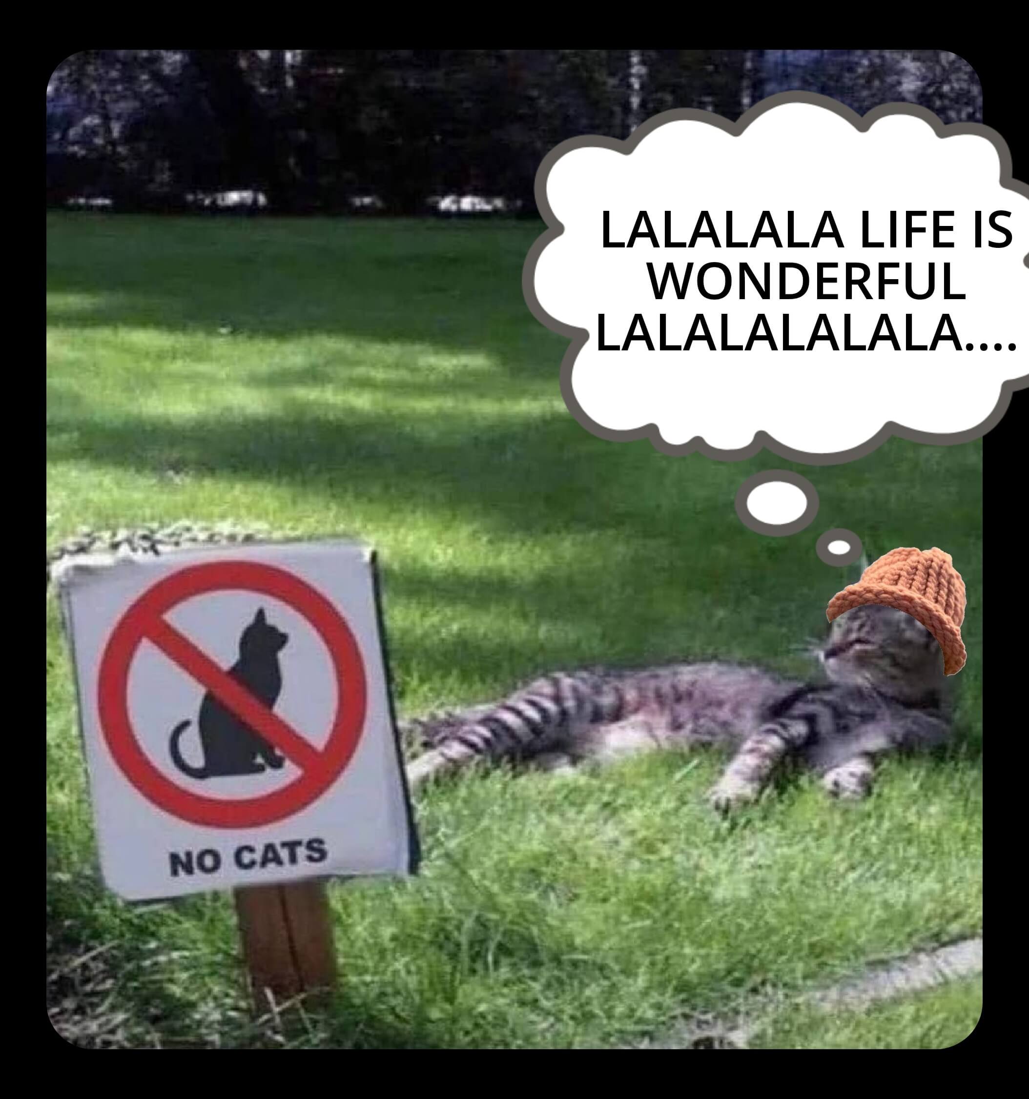 CatWifHat $CWIF - Solana Memecoin CatWifHat $CWIF - Solana Memecoin