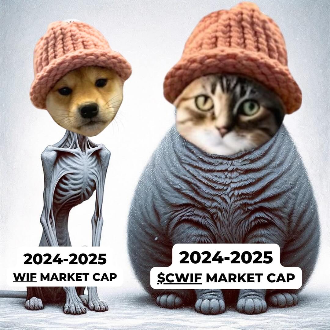CatWifHat $CWIF - Solana Memecoin CatWifHat $CWIF - Solana Memecoin