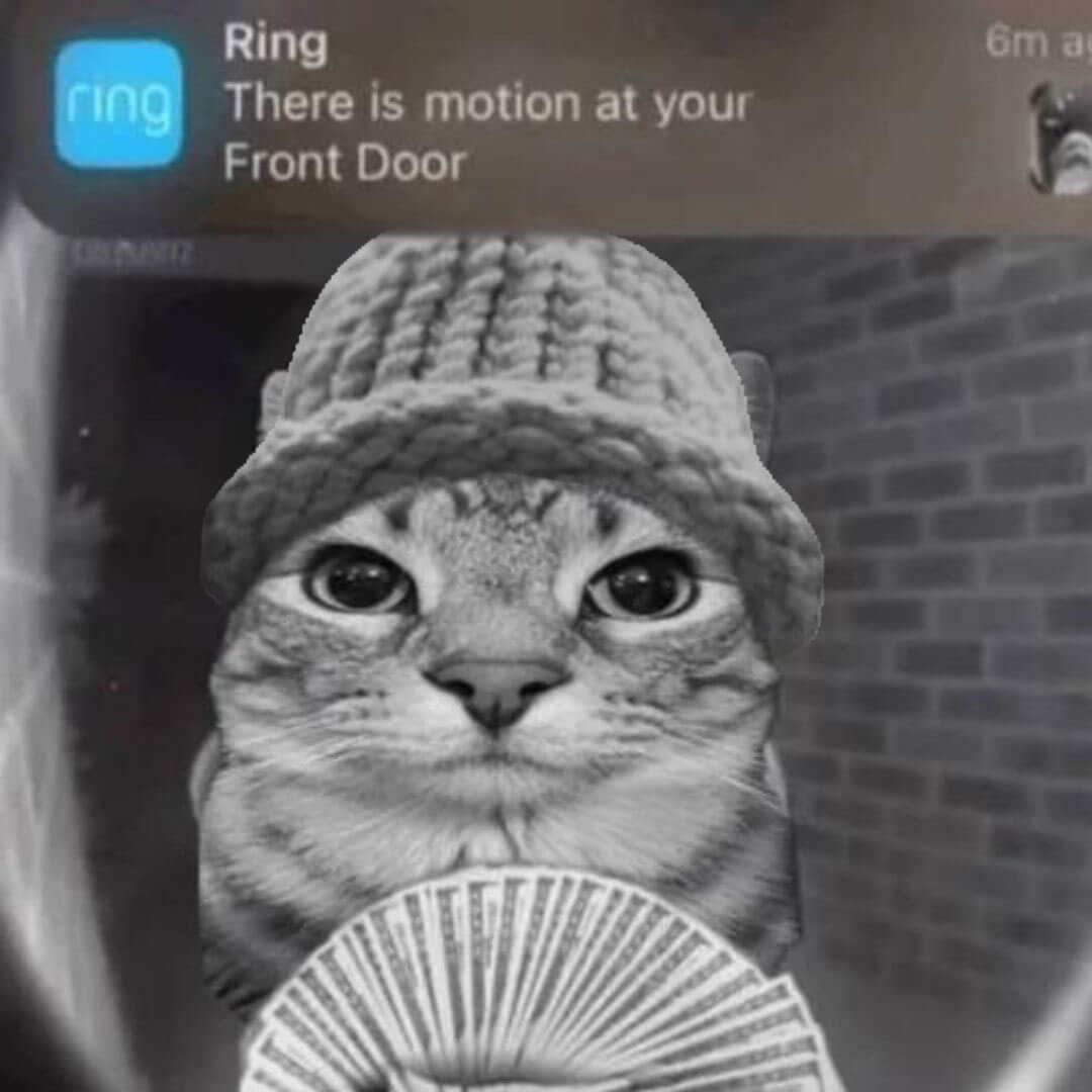 CatWifHat $CWIF - Solana Memecoin CatWifHat $CWIF - Solana Memecoin