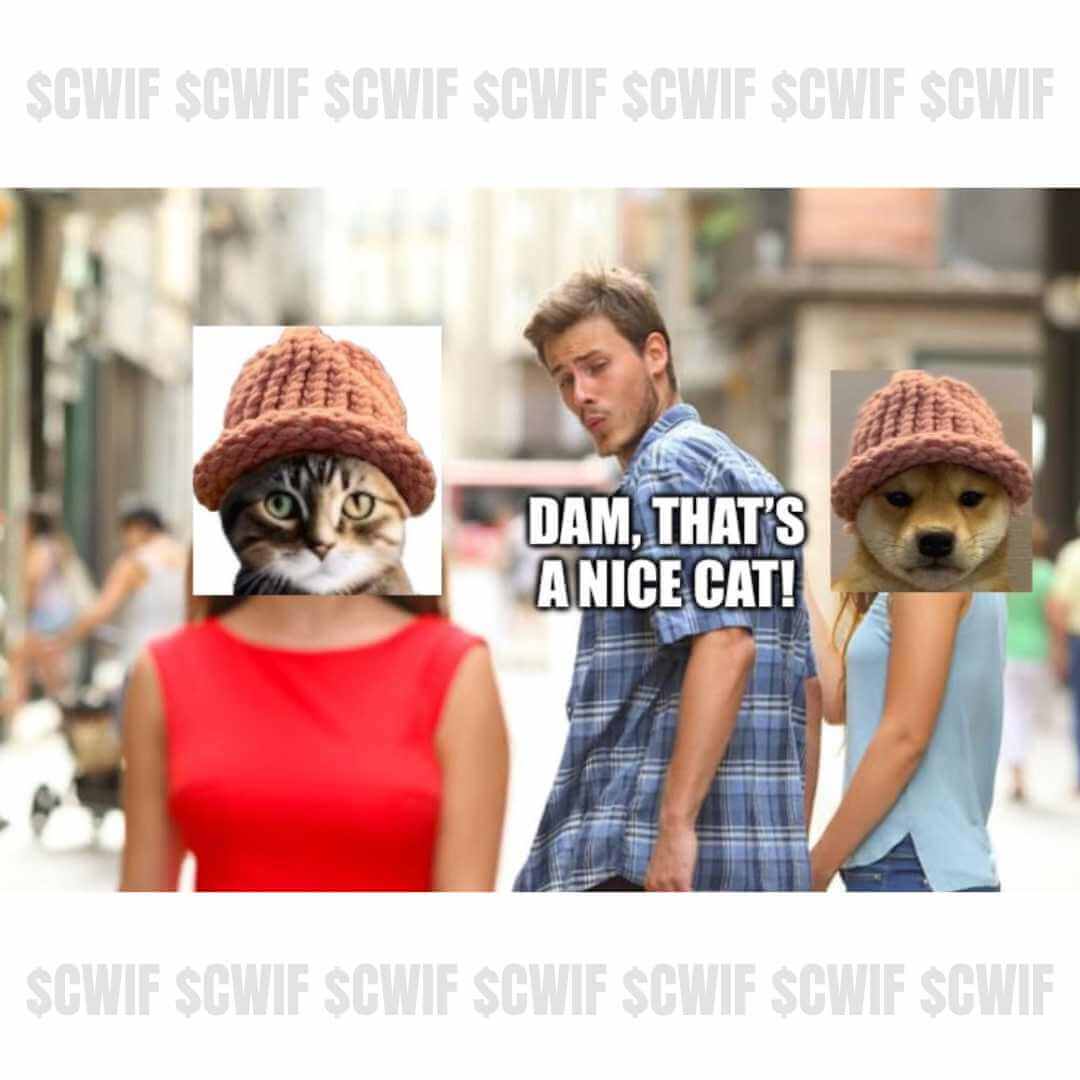 CatWifHat $CWIF - Solana Memecoin CatWifHat $CWIF - Solana Memecoin