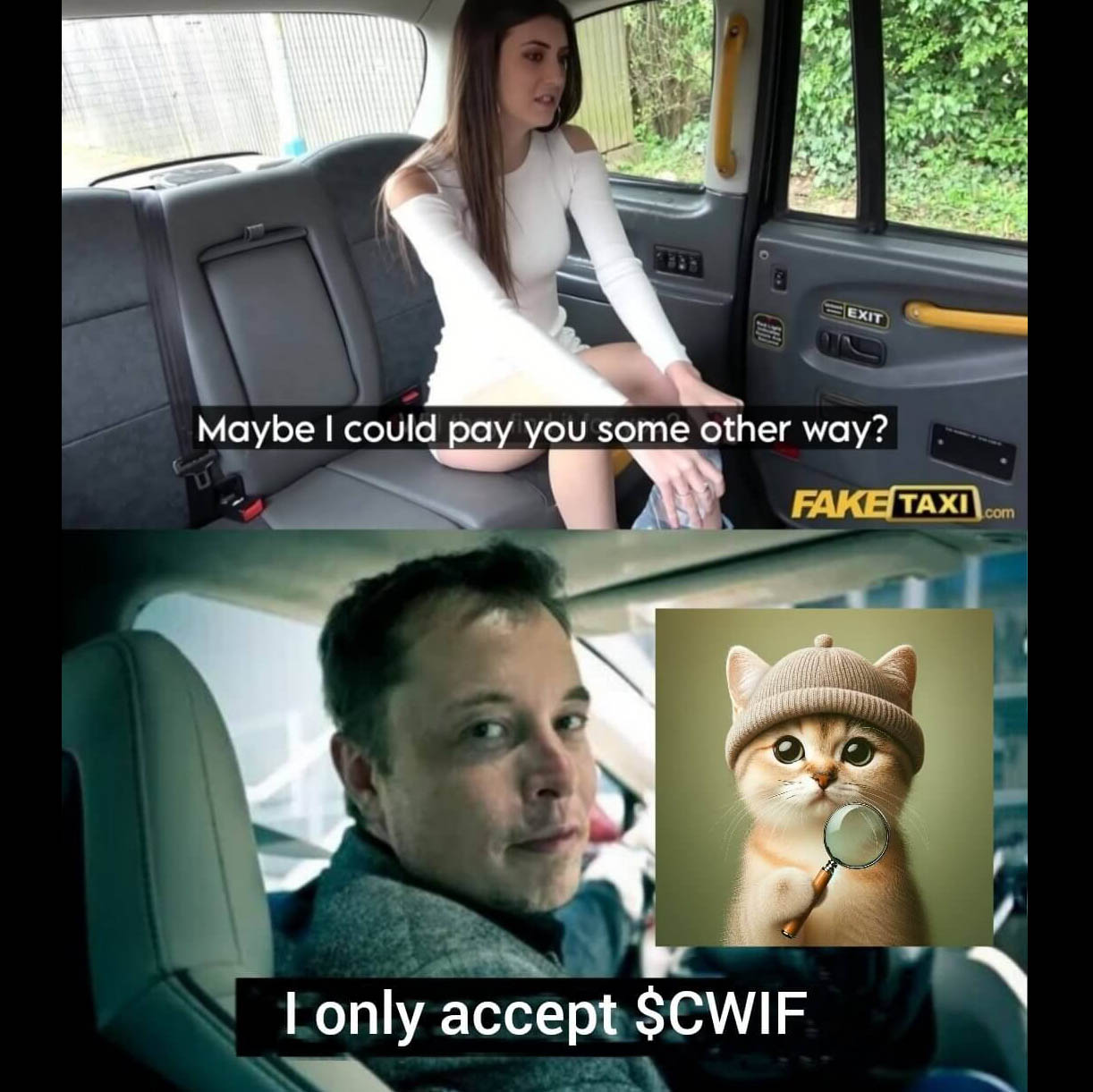 CatWifHat $CWIF - Solana Memecoin CatWifHat $CWIF - Solana Memecoin