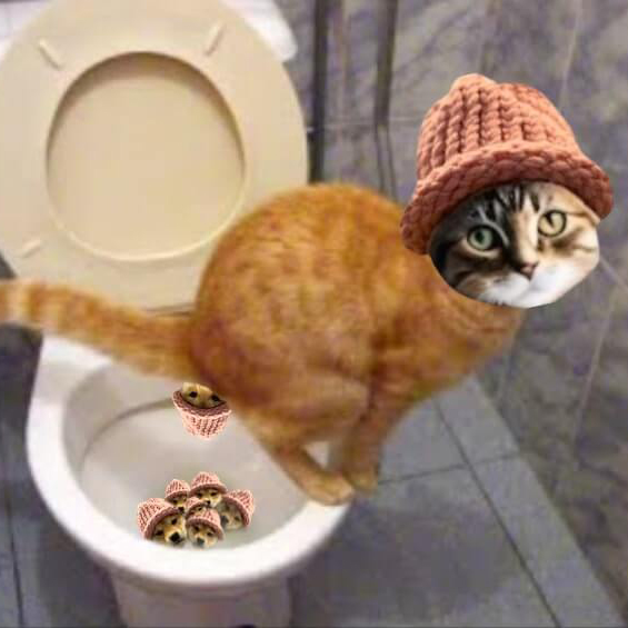 CatWifHat $CWIF - Solana Memecoin CatWifHat $CWIF - Solana Memecoin