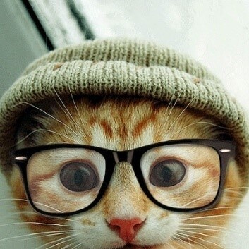 CatWifHat $CWIF - Solana Memecoin CatWifHat $CWIF - Solana Memecoin