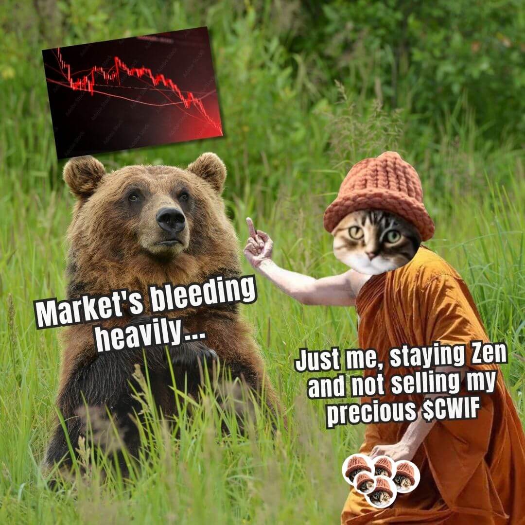 CatWifHat $CWIF - Solana Memecoin CatWifHat $CWIF - Solana Memecoin