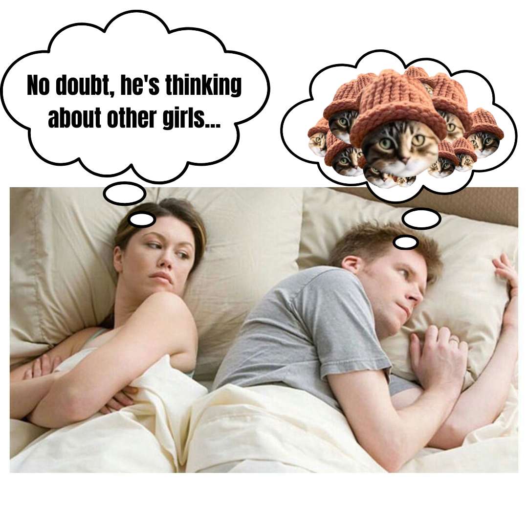 CatWifHat $CWIF - Solana Memecoin CatWifHat $CWIF - Solana Memecoin