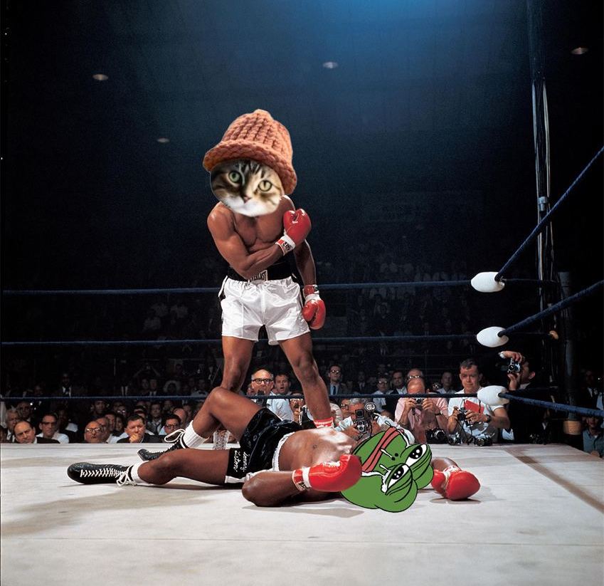 CatWifHat $CWIF - Solana Memecoin CatWifHat $CWIF - Solana Memecoin