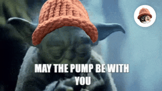 CatWifHat $CWIF - Solana Memecoin CatWifHat $CWIF - Solana Memecoin