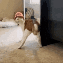 CatWifHat $CWIF - Solana Memecoin CatWifHat $CWIF - Solana Memecoin