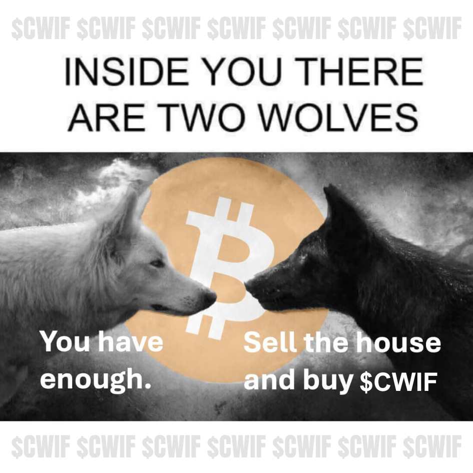 CatWifHat $CWIF - Solana Memecoin CatWifHat $CWIF - Solana Memecoin