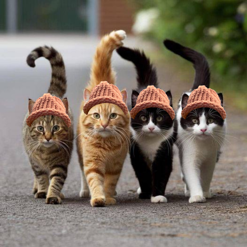 CatWifHat $CWIF - Solana Memecoin CatWifHat $CWIF - Solana Memecoin