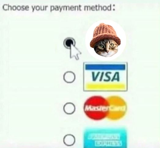 CatWifHat $CWIF - Solana Memecoin