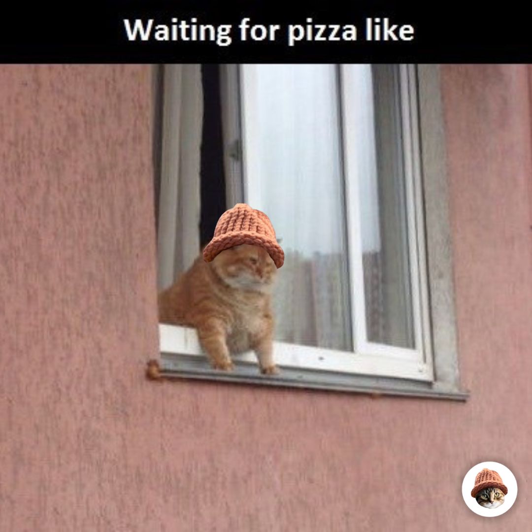 CatWifHat $CWIF - Solana Memecoin CatWifHat $CWIF - Solana Memecoin