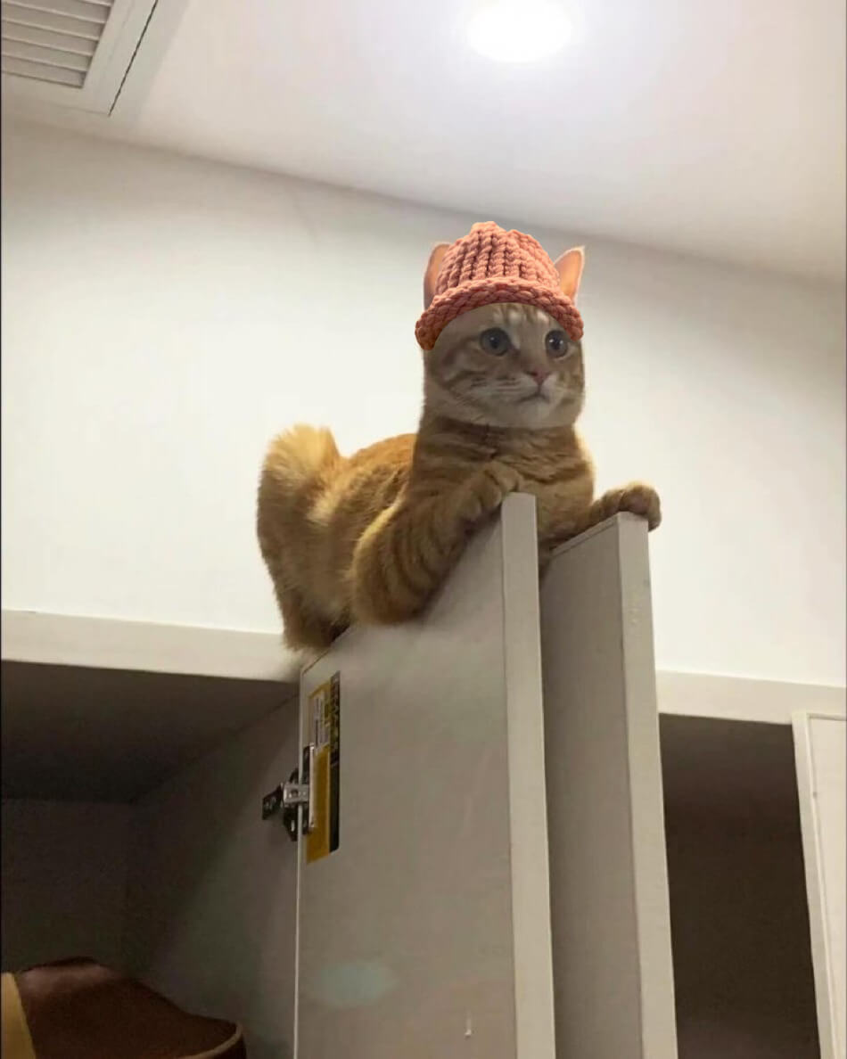 CatWifHat $CWIF - Solana Memecoin CatWifHat $CWIF - Solana Memecoin