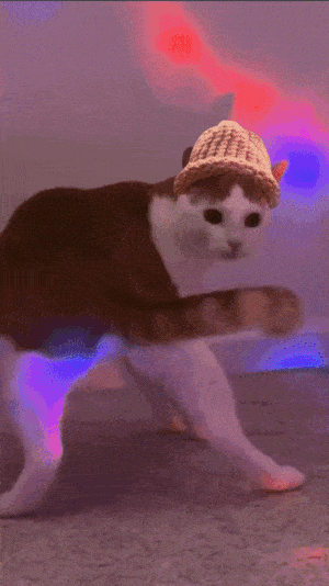 CatWifHat $CWIF - Solana Memecoin CatWifHat $CWIF - Solana Memecoin