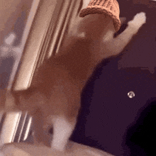 CatWifHat $CWIF - Solana Memecoin CatWifHat $CWIF - Solana Memecoin