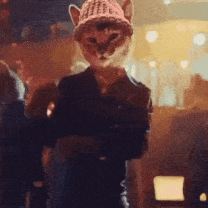 CatWifHat $CWIF - Solana Memecoin CatWifHat $CWIF - Solana Memecoin