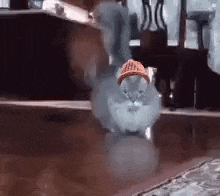 CatWifHat $CWIF - Solana Memecoin CatWifHat $CWIF - Solana Memecoin