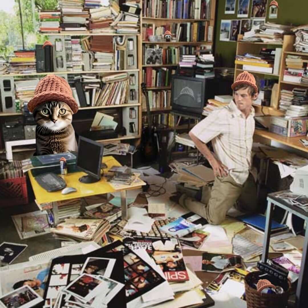 CatWifHat $CWIF - Solana Memecoin CatWifHat $CWIF - Solana Memecoin