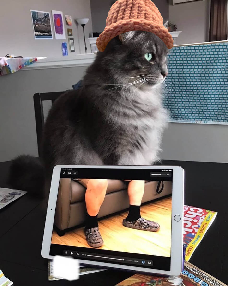 CatWifHat $CWIF - Solana Memecoin CatWifHat $CWIF - Solana Memecoin