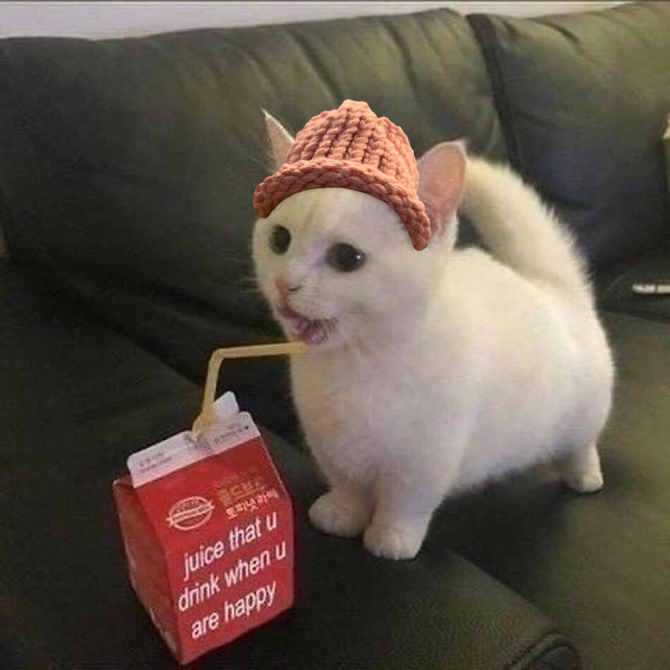 CatWifHat $CWIF - Solana Memecoin CatWifHat $CWIF - Solana Memecoin