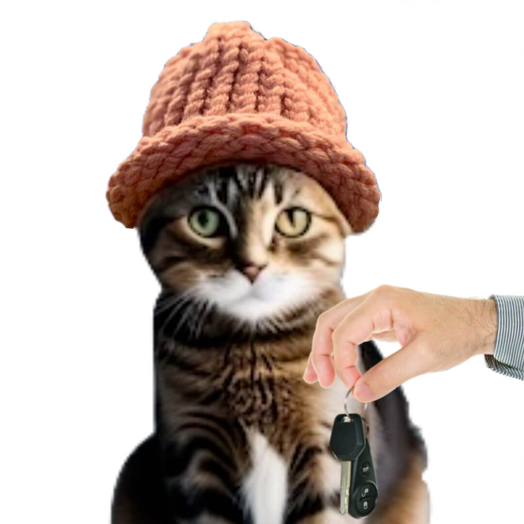 CatWifHat $CWIF - Solana Memecoin CatWifHat $CWIF - Solana Memecoin