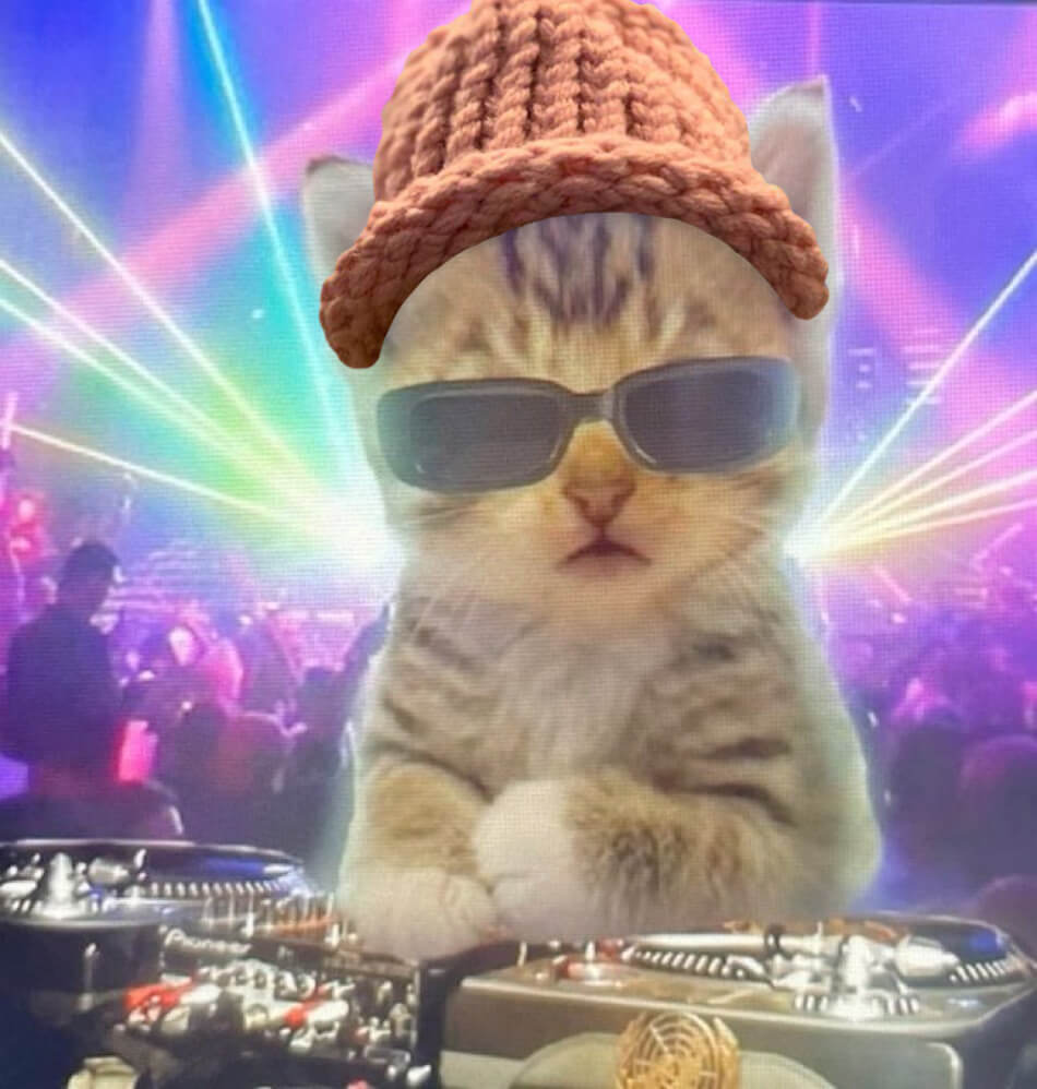 CatWifHat $CWIF - Solana Memecoin CatWifHat $CWIF - Solana Memecoin