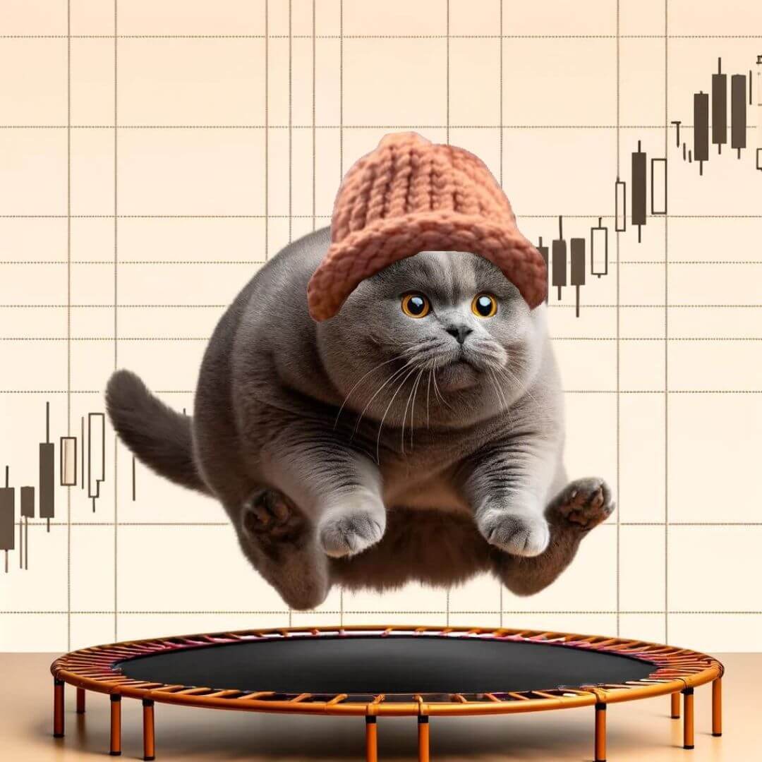CatWifHat $CWIF - Solana Memecoin CatWifHat $CWIF - Solana Memecoin