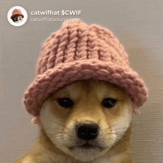CatWifHat $CWIF - Solana Memecoin CatWifHat $CWIF - Solana Memecoin