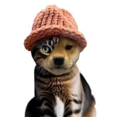 CatWifHat $CWIF - Solana Memecoin CatWifHat $CWIF - Solana Memecoin