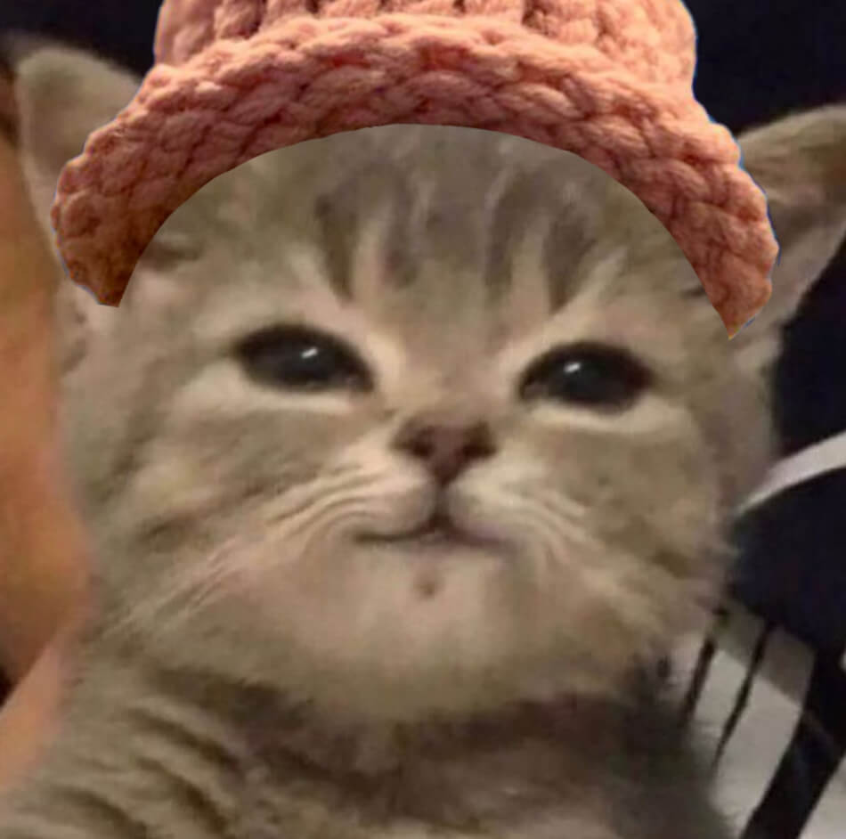 CatWifHat $CWIF - Solana Memecoin CatWifHat $CWIF - Solana Memecoin