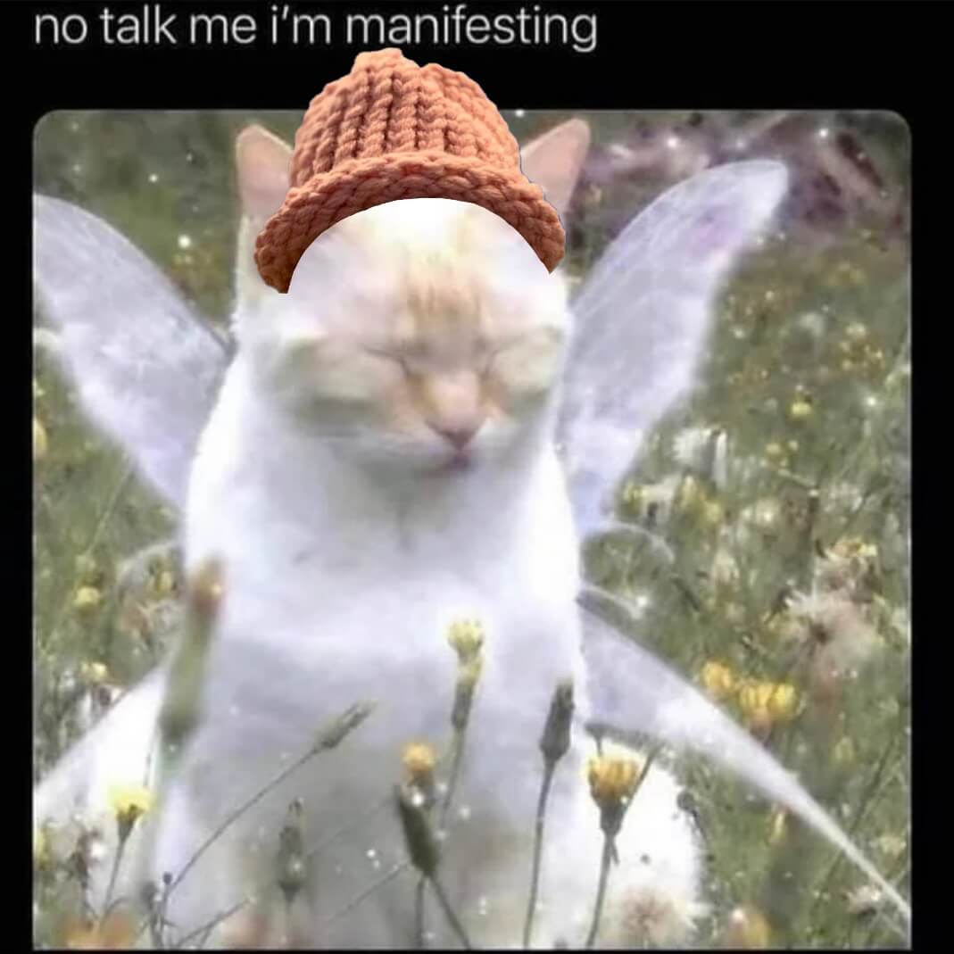 CatWifHat $CWIF - Solana Memecoin CatWifHat $CWIF - Solana Memecoin