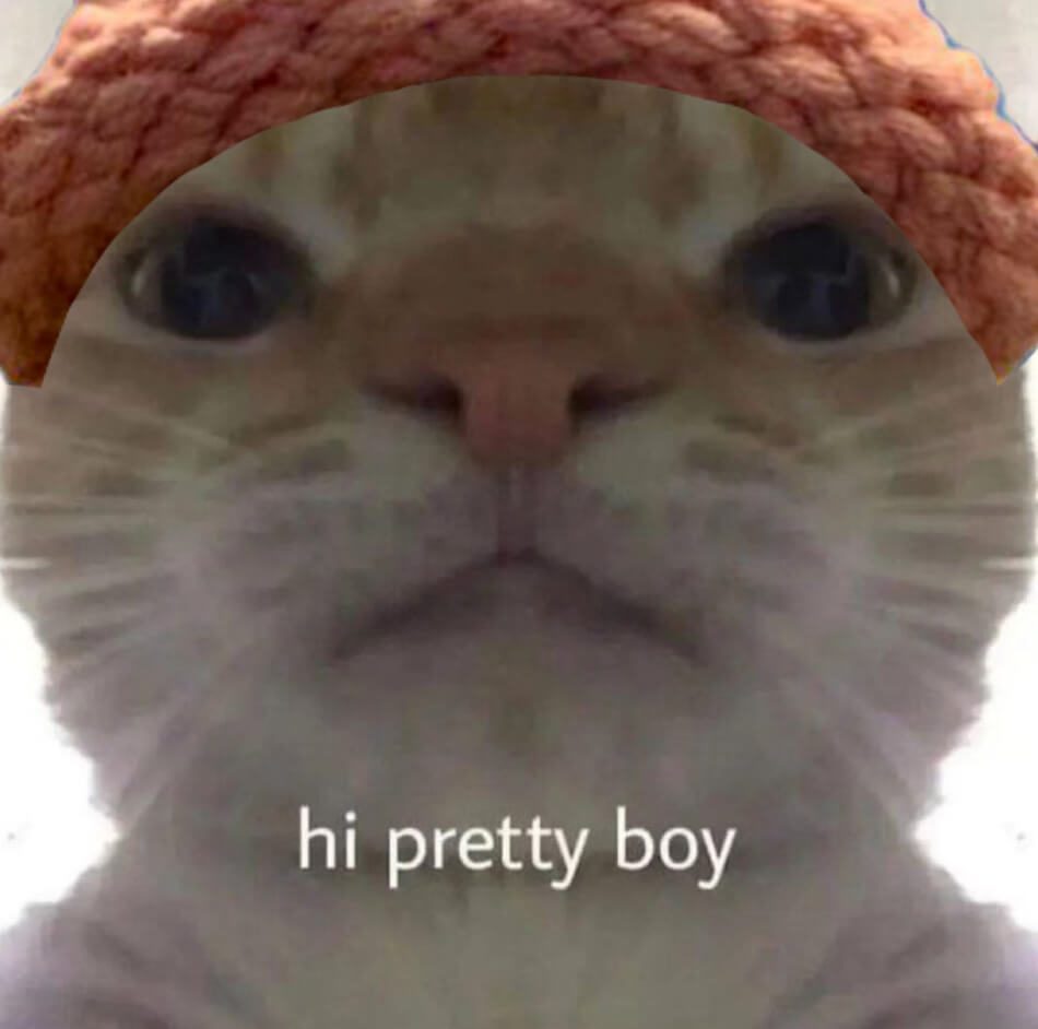 CatWifHat $CWIF - Solana Memecoin CatWifHat $CWIF - Solana Memecoin