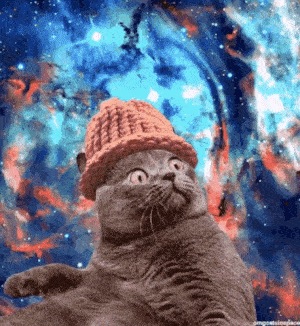 CatWifHat $CWIF - Solana Memecoin CatWifHat $CWIF - Solana Memecoin