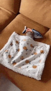 CatWifHat $CWIF - Solana Memecoin CatWifHat $CWIF - Solana Memecoin