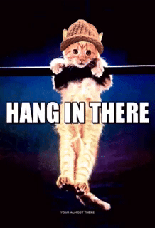 CatWifHat $CWIF - Solana Memecoin CatWifHat $CWIF - Solana Memecoin