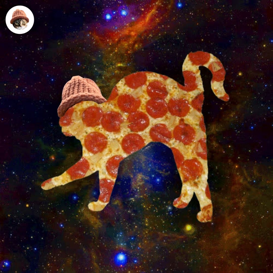 CatWifHat $CWIF - Solana Memecoin CatWifHat $CWIF - Solana Memecoin