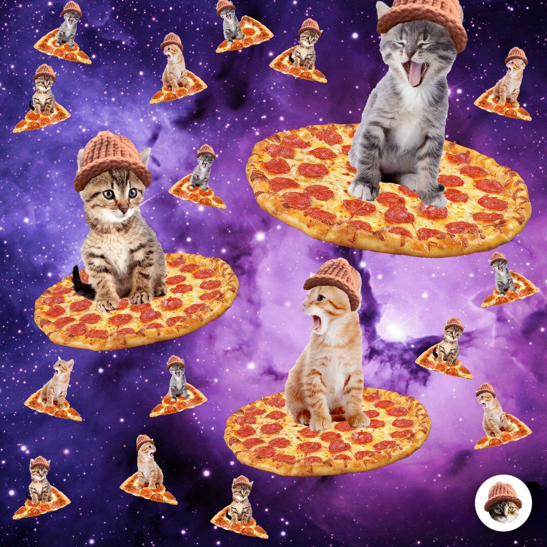 CatWifHat $CWIF - Solana Memecoin CatWifHat $CWIF - Solana Memecoin