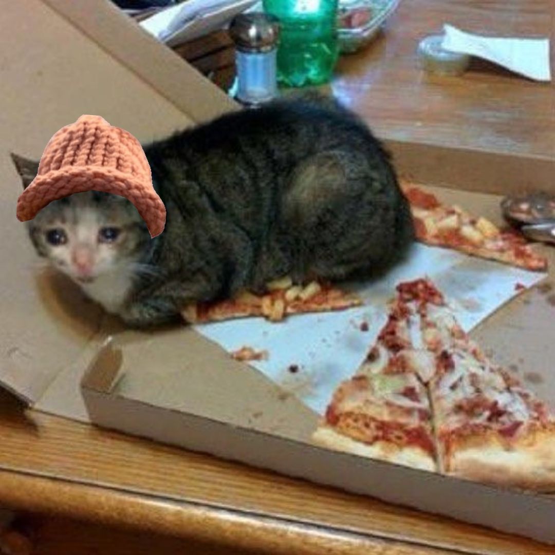 CatWifHat $CWIF - Solana Memecoin CatWifHat $CWIF - Solana Memecoin