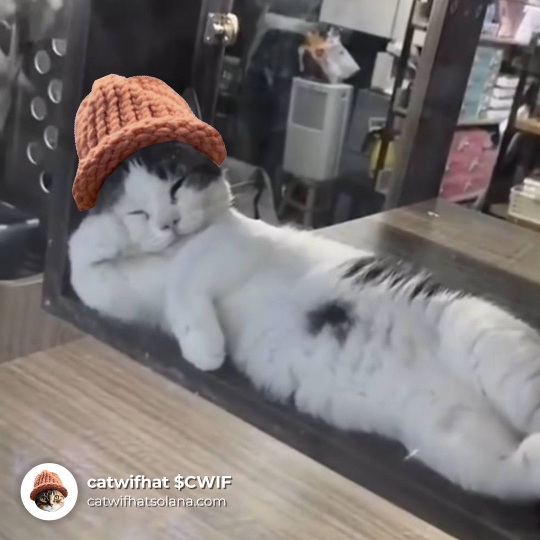 CatWifHat $CWIF - Solana Memecoin CatWifHat $CWIF - Solana Memecoin