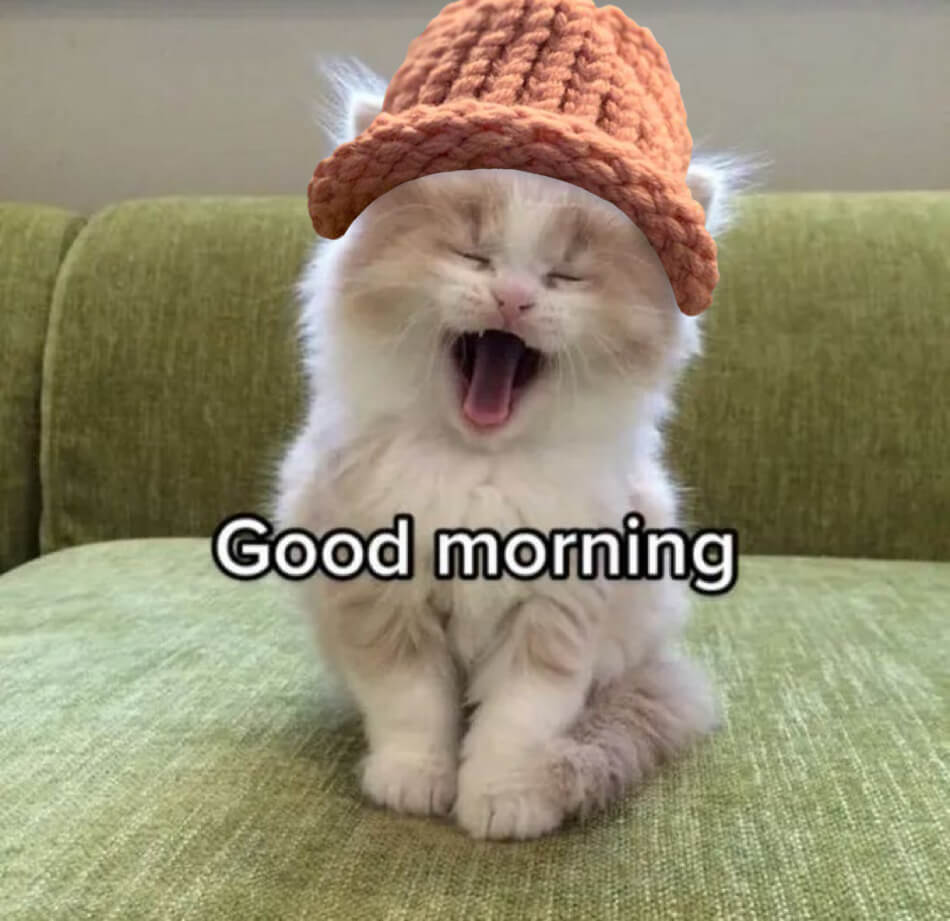 CatWifHat $CWIF - Solana Memecoin CatWifHat $CWIF - Solana Memecoin